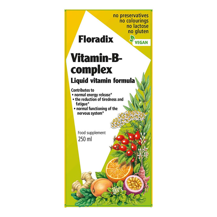 Floradix Vitamin B Complex Liquid Formula - 250 ml